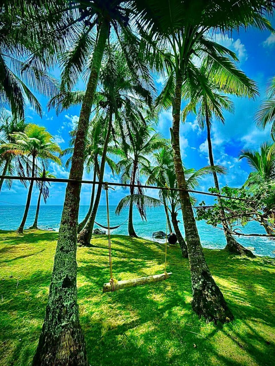 Guesthouse Island Escape South End Ngoại thất bức ảnh
