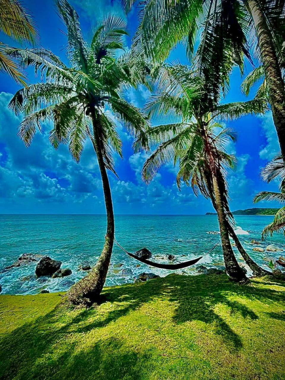 Guesthouse Island Escape South End Ngoại thất bức ảnh