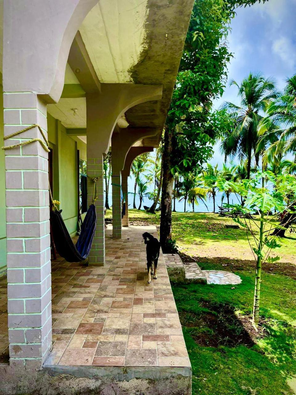 Guesthouse Island Escape South End Ngoại thất bức ảnh